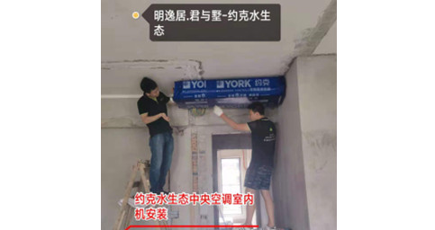 约克黄瓜视频下载18两联供