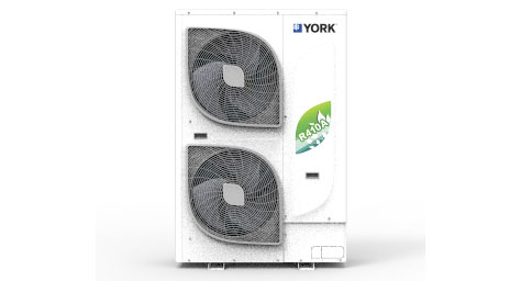 约克中央黄瓜视频下载18